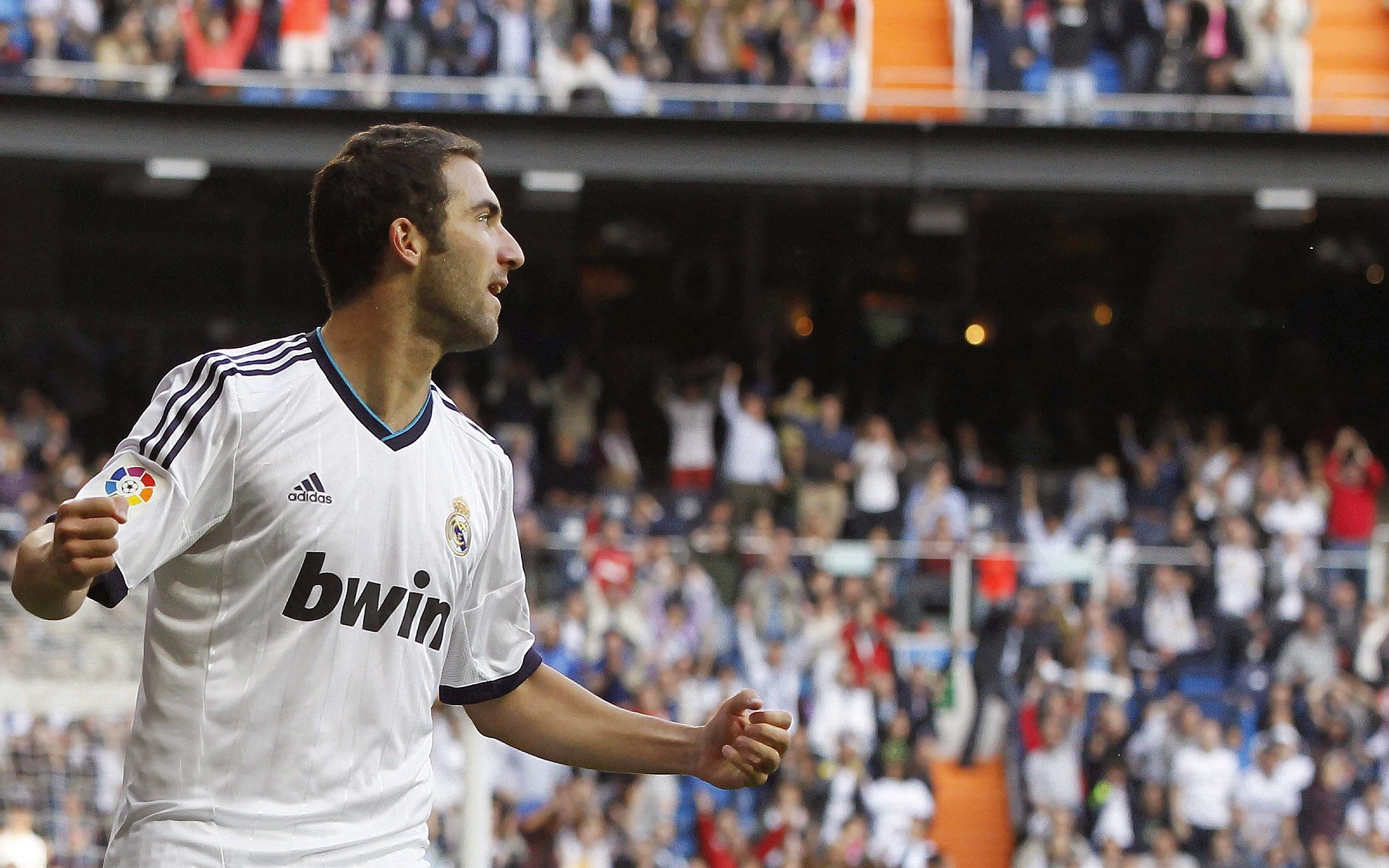 世界体育焦点报道